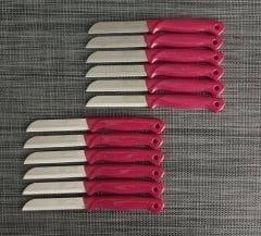 Solingen Meyve Bıçağı 12'Li Simli Pembe