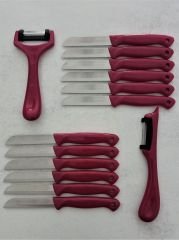 Solingen 12'Li Meyve-Sebze-Doğrama Bıçağı Ve 2'Li Soyacak 14'Lü Set Pembe