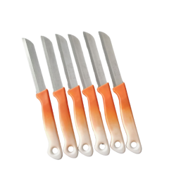 Solingen Meyve Sebze Bıçağı 6'Lı