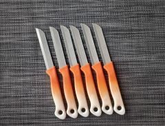 Solingen Meyve Sebze Bıçağı 6'Lı Pembe-Beyaz