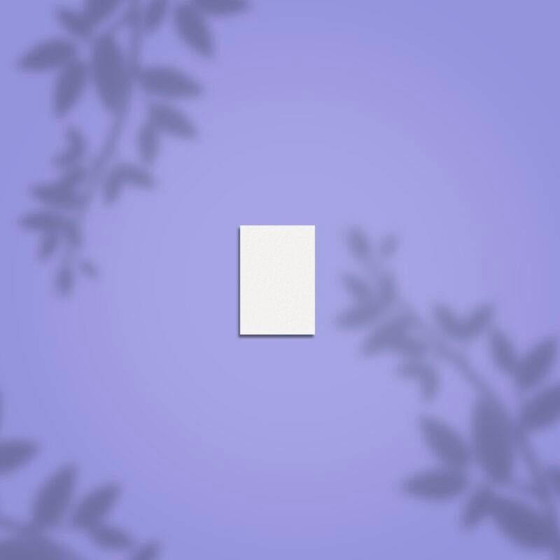 STALEKS PRO Dikdörtgen Şekillendirici Mini Buffer Törpü 100/180 Grit, 50'li Set