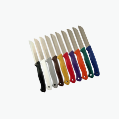 Solingen 10'Lu Meyve Sebze Bıçağı Renkli