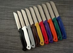 Solingen 10'Lu Meyve Sebze Bıçağı Renkli