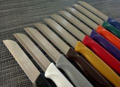 Solingen 10'Lu Meyve Sebze Bıçağı Renkli