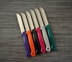 Solingen 6'Lı Meyve Bıçağı Renkli-2