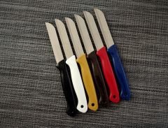 Solingen 6'Lı Meyve Bıçağı Renkli-1